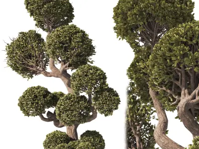 Garden Tree And Bush 01 3D model