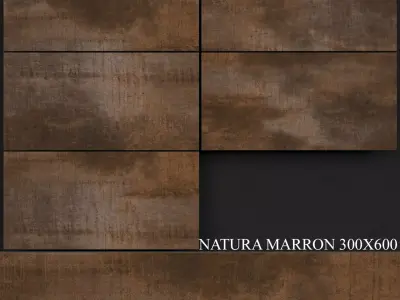 Keros Natura Marron 300x600 3D model