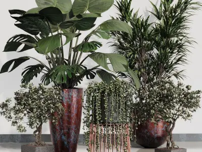 INDOOR PLANT SET 07 3D model