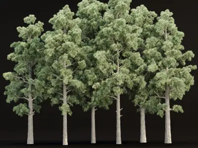 Trees collection vol 250 3D Model Pack