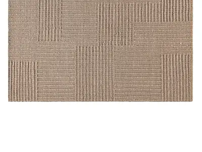 Accent Area Rug 3D model