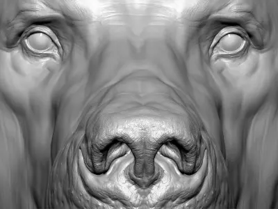  Bear with Facial Expression 