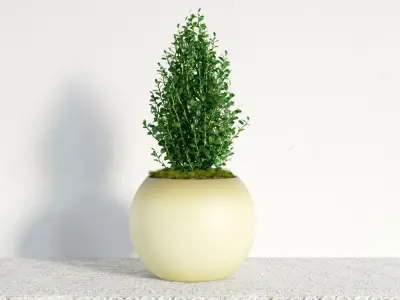 Archmodels vol 141 - high quality indoor plants 3D model