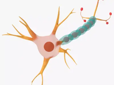Neuron Cell Low-poly 3D model