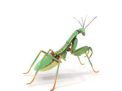 Mechanical Mantis model pack Low-poly 3D model