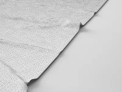 Contemporary Carpet - Rug 3D model