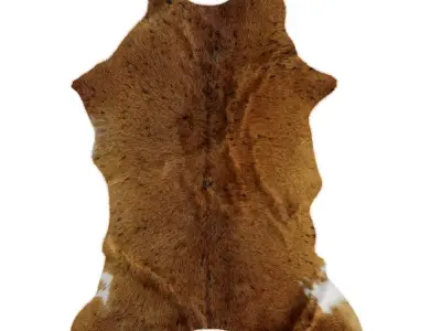 Animal skin rug 17 3D model