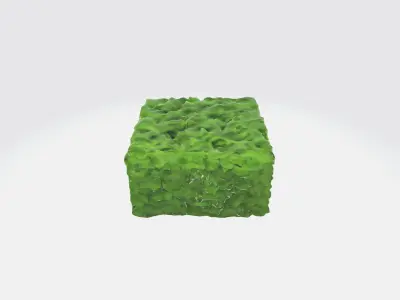 A green cube-shaped hedge bush 3D model