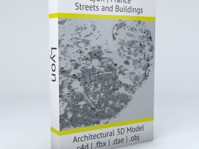 Lyon Streets and Buildings 3D model