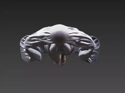 Veiled Silhouette - Mystic Cloaked Woman 3D model