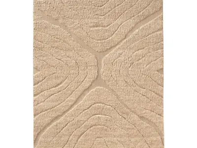 TARRAS WOOL RUG B 3D model