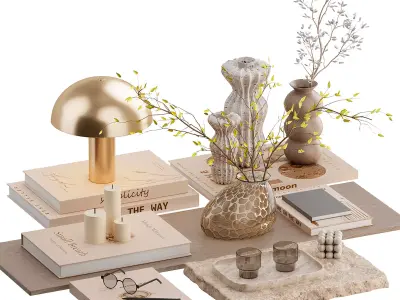 Decorative Set 2 3D model get