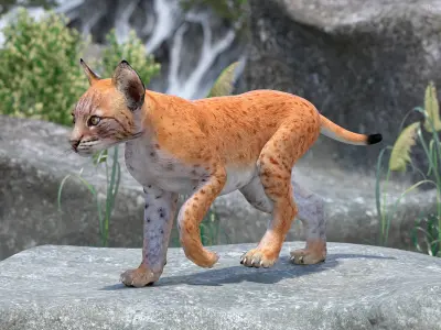  Lynx Cub in Walking Pose for 3D Print 