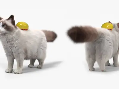  Long Hair Cat Grooming Brush Yellow Fur for Cinema 4D 