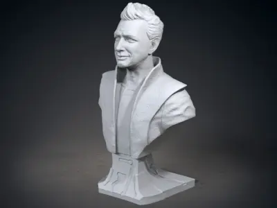 The Grandmaster bust of man with curly hair 3D print model