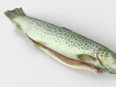  Seafood collection 02 