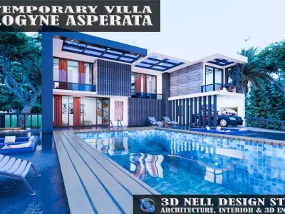 CONTEMPORARY VILLA COELOGYNE ASPERATA 3D model