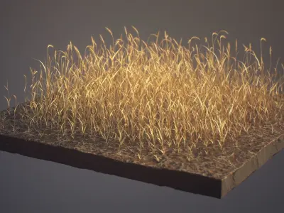 Wheat Field Package Loop Animated 3D model