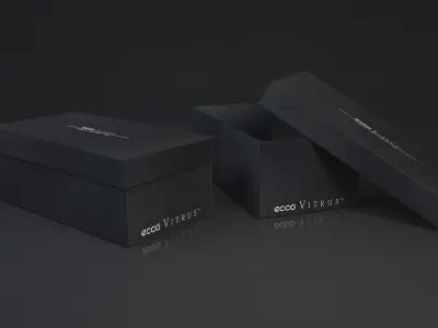 Shoe box ECCO  Free 3D model