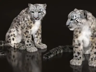  Snow Leopard Fur Rigged 