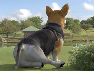  Dog Welsh Corgi Pembroke Tricolor Rigged for Cinema 4D 
