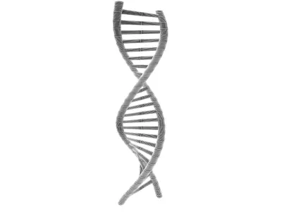 DNA Molecule v1 007 Low-poly 3D model