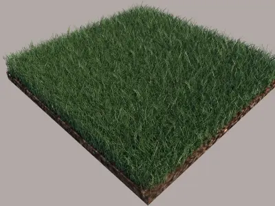 Grass and gravel 3D model