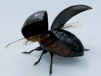  Black Beetle Rigged 