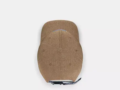 PALACE BASICALLY A WOOL 6 PANEL SAND 3D model