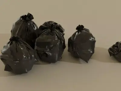 6 GARBAGE BAGS 3D model