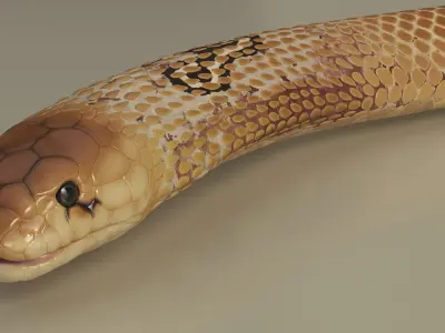  Crawling Light Skin Cobra Animated Rigged 