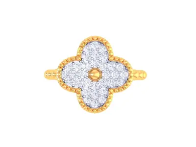 Delicate Ring - 6 3D print model