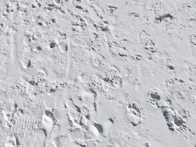 Beach sand Scan 3D model