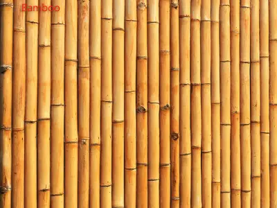 Ultra realistic  bamboo wall geometry  3D model