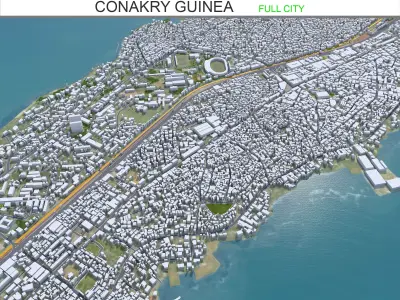 Conakry Guinea 50km Low-poly 3D model
