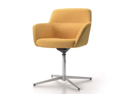 Darwin 4-Star 3D model