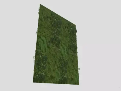 High Precision Ivy Plant Green Wall  3D model