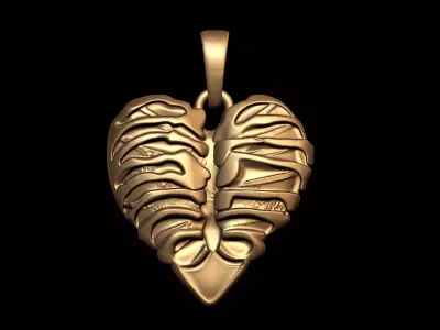 Anatomical Heart Ribcage Pendant 3D print model