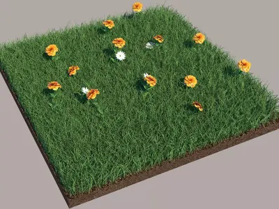 Grass field with flowers 3D model