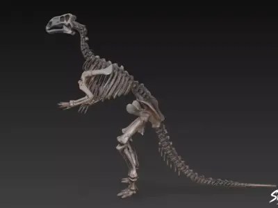 Iguanodon fossil Low-poly 3D model