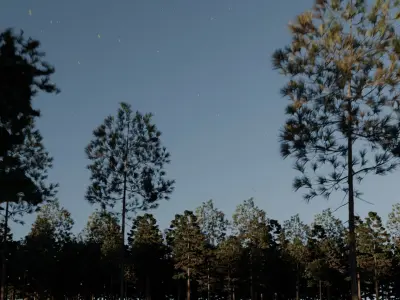 Lake in the forest 3D model