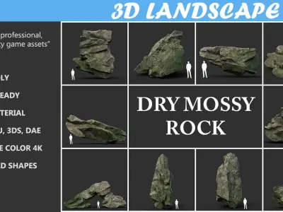 Low poly Dry Mossy Rock Formation Pack 200209 Low-poly 3D model