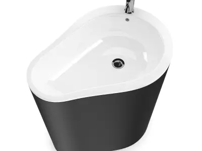 Black Standing Sink 3D model