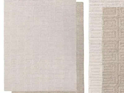 RAJOURI HAND-KNOTTED SILK WOOL RUG 3D model