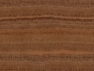 Wood Veneer Texture Texture