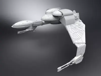 BRel Bird of Prey Scale model 3D print model