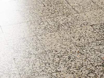 Terrazzo tiles 01 Texture