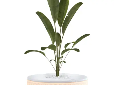 Vondom Vases Island with plant 3D model