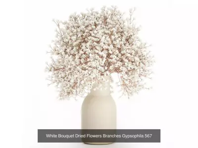 Collection 19 pcs bouquets dried flowers branches lavender set 3D Model Pack