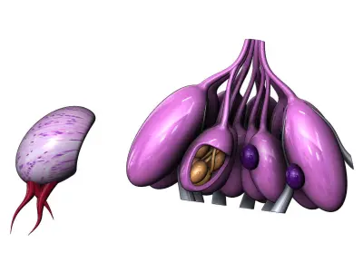 Alien Egg  shapes and props 3D print model